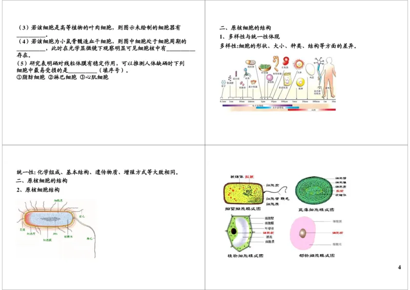 《细胞的结构与功能-细胞核的结构与功能及生物分类（一）-6490a530d99d_学而思高三全套_高三录播课程各种版本_高三一轮二轮_29709-56高考生物一轮总复习（必修+选修1、3）》第4页预览