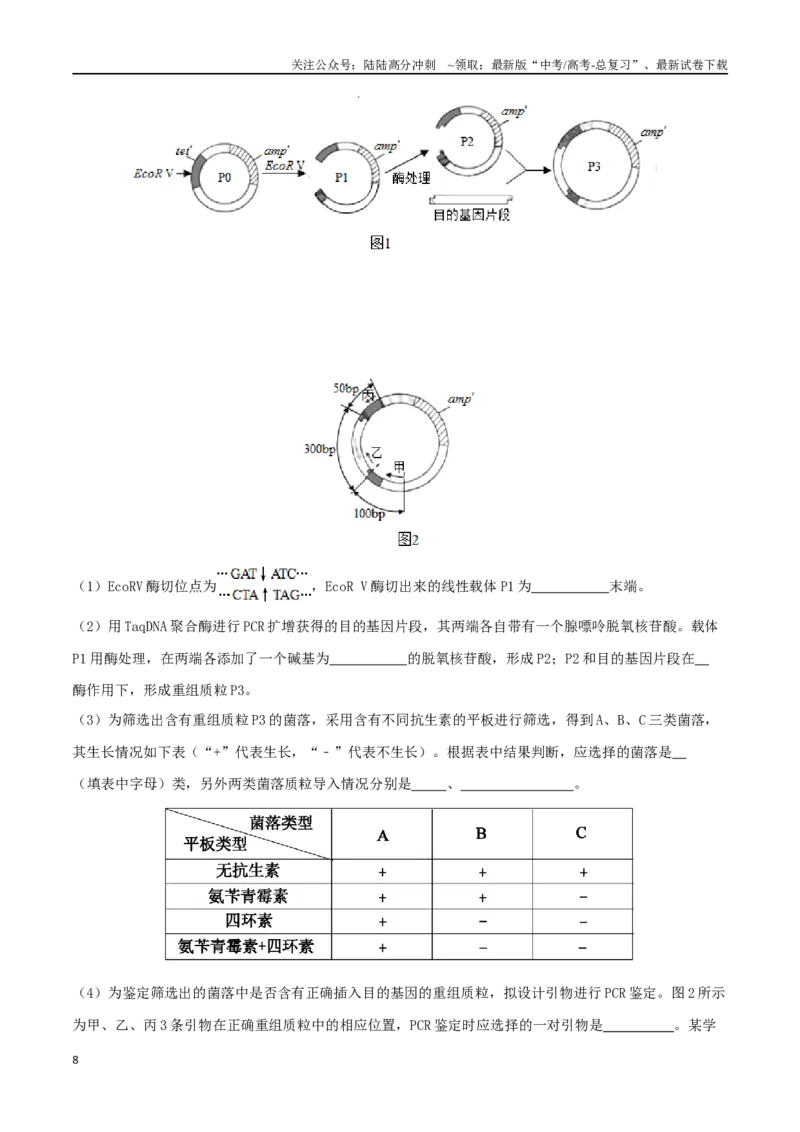 《微专题07基因工程及应用（原卷版）_06-生物-高考总复习_二轮复习_2024年_2024高三生物高考二轮复习热点命题专题真题模拟题_资料》第8页预览