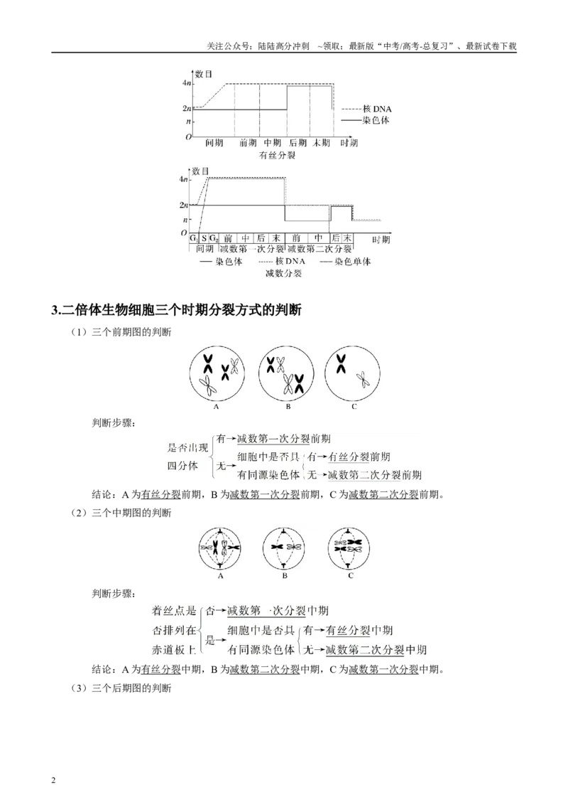《微专题3有丝分裂和减数分裂原卷版_06-生物-高考总复习_专项复习_2025年_2025年高考生物考前冲刺微专题限时练（全国通用）_资料》第2页预览