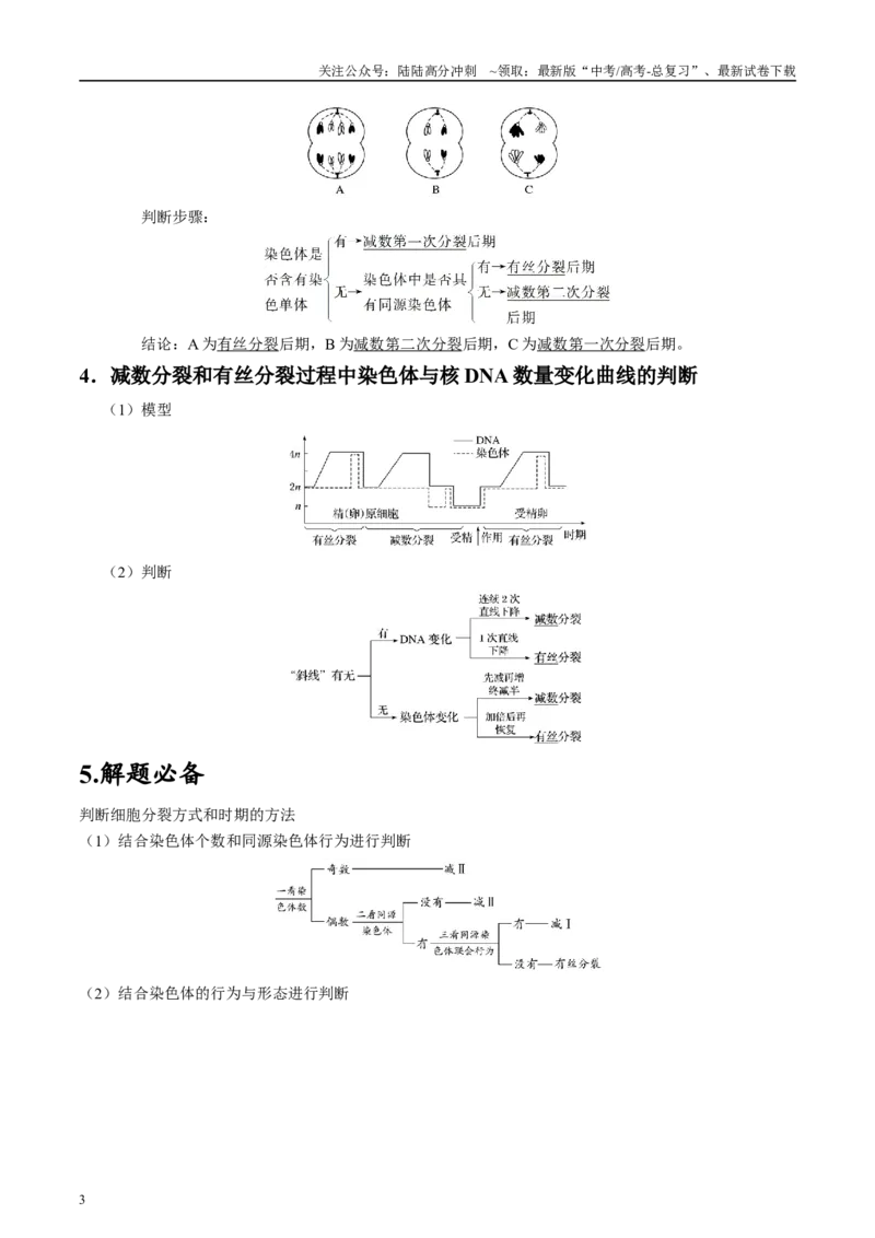 《微专题3有丝分裂和减数分裂原卷版_06-生物-高考总复习_专项复习_2025年_2025年高考生物考前冲刺微专题限时练（全国通用）_资料》第3页预览