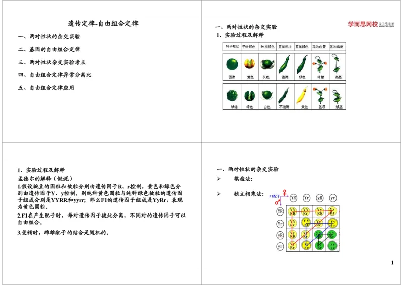 《遗传定律-自由组合定律-ca65dd3d2a2b_学而思高三全套_高三录播课程各种版本_高三一轮二轮_29709-56高考生物一轮总复习（必修+选修1、3）_第17讲：遗传定律-自由组合定律（一轮上）》第1页预览