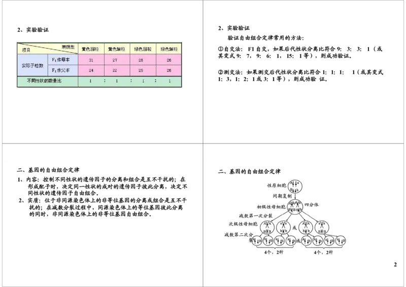 《遗传定律-自由组合定律-ca65dd3d2a2b_学而思高三全套_高三录播课程各种版本_高三一轮二轮_29709-56高考生物一轮总复习（必修+选修1、3）_第17讲：遗传定律-自由组合定律（一轮上）》第2页预览