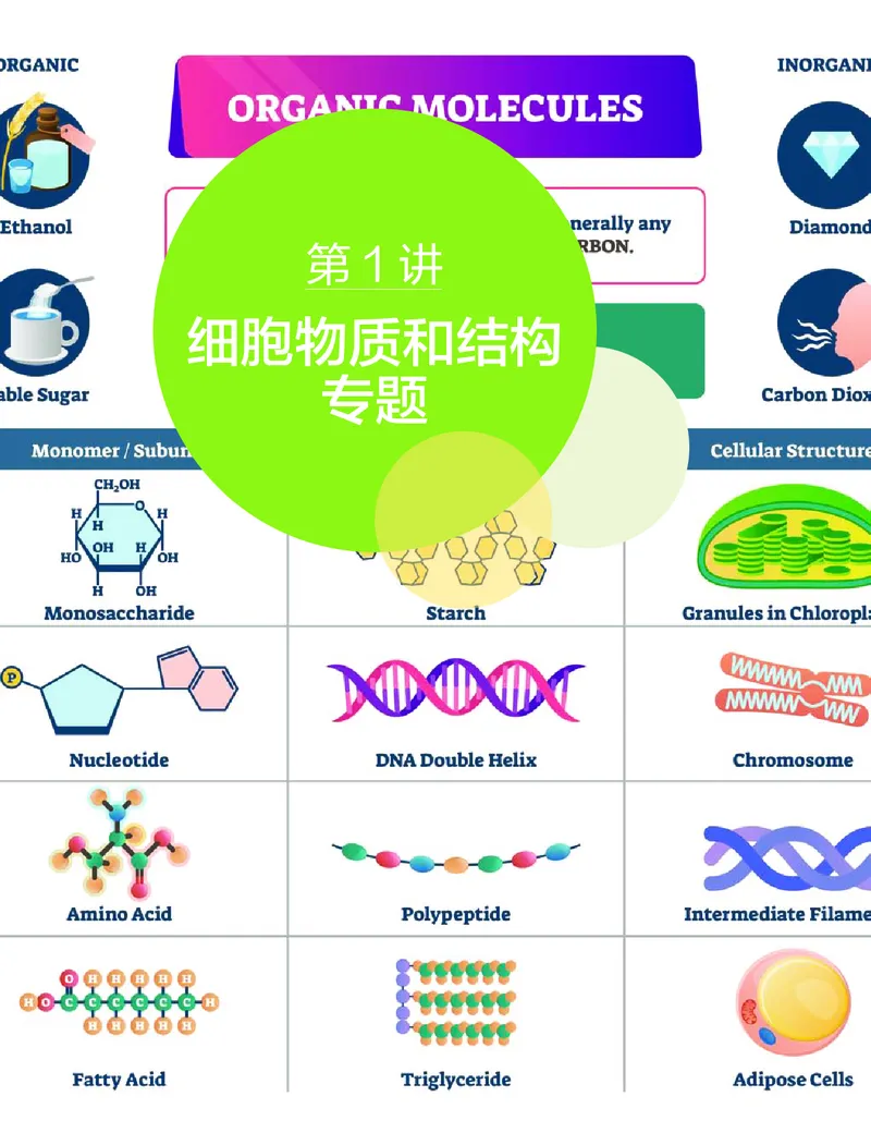 《春季目标清北班高三生物2轮复习（下）直播班（全国）讲义-fc583d57ebc6_学而思高三全套_2020春季高三_20春季目标清北班高三生物2轮复习（全国）14讲陆巍巍》第3页预览