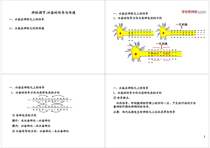 《神经调节-兴奋的传导与传递（一轮下）-396b7986883d_学而思高三全套_高三录播课程各种版本_高三一轮二轮_29709-56高考生物一轮总复习（必修+选修1、3）》第1页预览