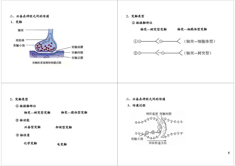 《神经调节-兴奋的传导与传递（一轮下）-396b7986883d_学而思高三全套_高三录播课程各种版本_高三一轮二轮_29709-56高考生物一轮总复习（必修+选修1、3）》第5页预览