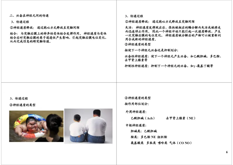 《神经调节-兴奋的传导与传递（一轮下）-396b7986883d_学而思高三全套_高三录播课程各种版本_高三一轮二轮_29709-56高考生物一轮总复习（必修+选修1、3）》第6页预览