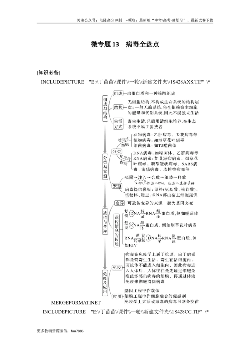 《微专题13病毒全盘点_06-生物-高考总复习_一轮复习_2024年_2024高考生物大一轮复习课件讲义新人教版知识总结_2024年高考生物一轮复习讲义（新人教版）_另赠1套Word版题库_选择性必修1》第1页预览