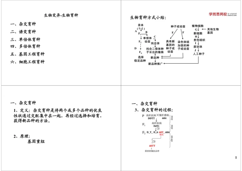 《生物变异-生物育种-b9f834ee3d8d_学而思高三全套_高三录播课程各种版本_高三一轮二轮_29709-56高考生物一轮总复习（必修+选修1、3）_第24讲：生物变异-生物育种（一轮上）》第1页预览
