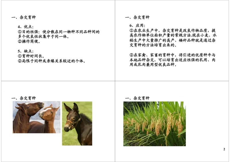 《生物变异-生物育种-b9f834ee3d8d_学而思高三全套_高三录播课程各种版本_高三一轮二轮_29709-56高考生物一轮总复习（必修+选修1、3）_第24讲：生物变异-生物育种（一轮上）》第2页预览
