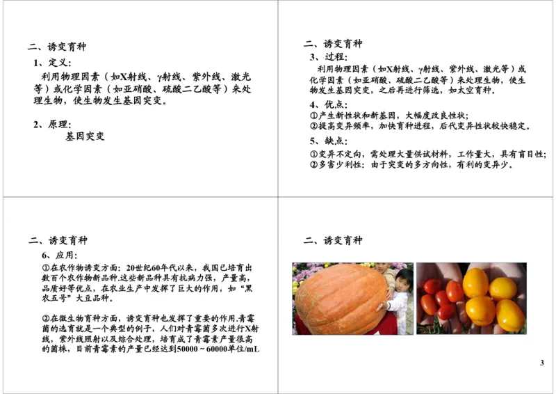 《生物变异-生物育种-b9f834ee3d8d_学而思高三全套_高三录播课程各种版本_高三一轮二轮_29709-56高考生物一轮总复习（必修+选修1、3）_第24讲：生物变异-生物育种（一轮上）》第3页预览