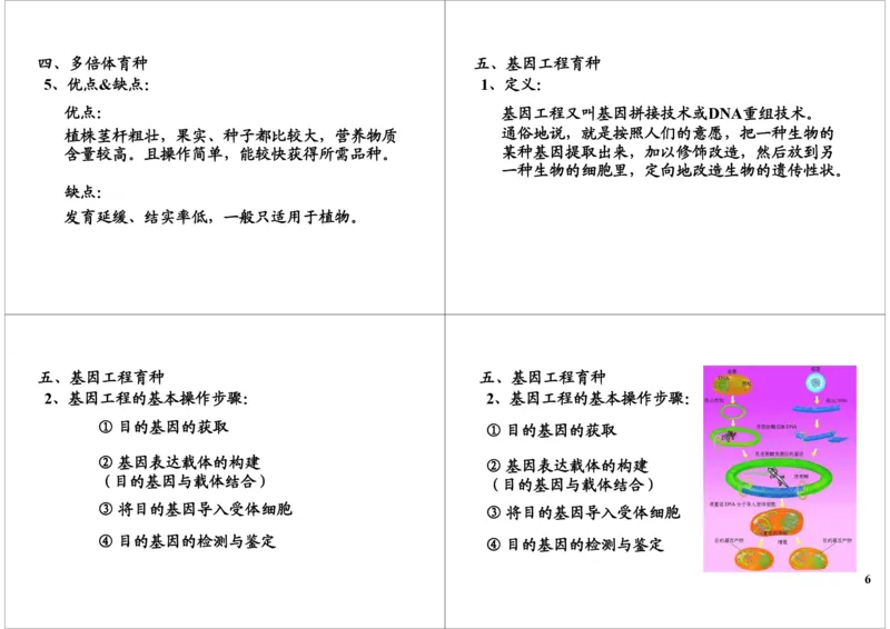 《生物变异-生物育种-b9f834ee3d8d_学而思高三全套_高三录播课程各种版本_高三一轮二轮_29709-56高考生物一轮总复习（必修+选修1、3）_第24讲：生物变异-生物育种（一轮上）》第6页预览