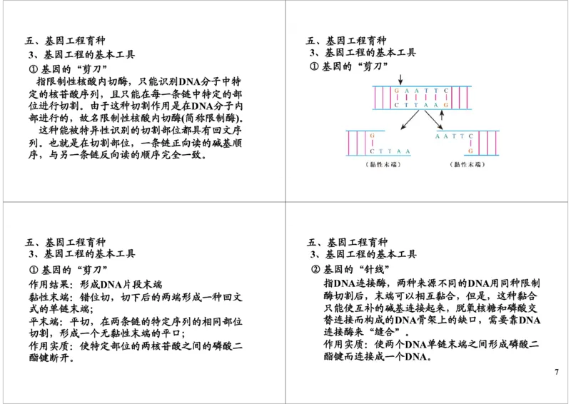 《生物变异-生物育种-b9f834ee3d8d_学而思高三全套_高三录播课程各种版本_高三一轮二轮_29709-56高考生物一轮总复习（必修+选修1、3）_第24讲：生物变异-生物育种（一轮上）》第7页预览