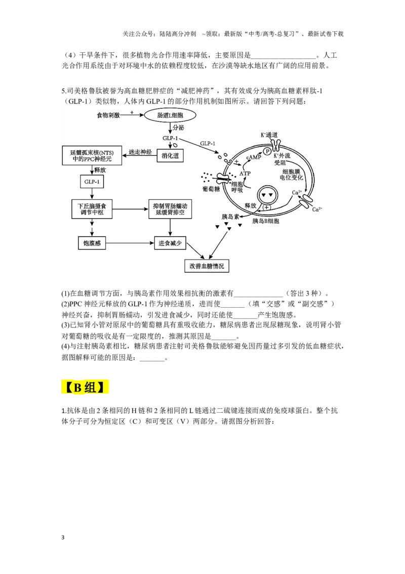 《大题预测02（A组+B组）（学生版）_06-生物-高考总复习_专项复习_2025年_2025年高考生物大题突破+限时集训（安徽专用）》第3页预览