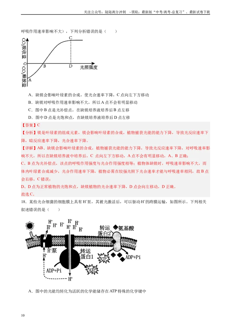 《必修1模板检测卷（教师版）_06-生物-高考总复习_一轮复习_2025年_2025年高考生物一轮复习考点复习卷（新高考通用）》第10页预览