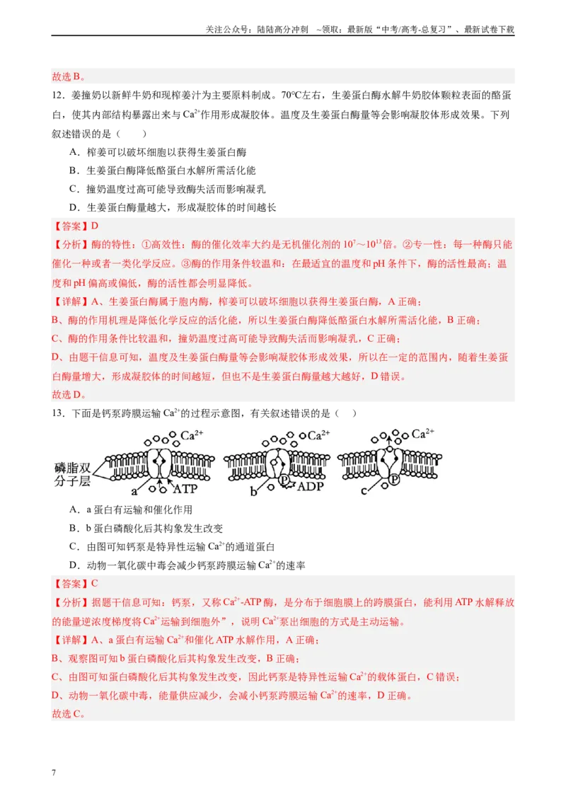 《必修1模板检测卷（教师版）_06-生物-高考总复习_一轮复习_2025年_2025年高考生物一轮复习考点复习卷（新高考通用）》第7页预览