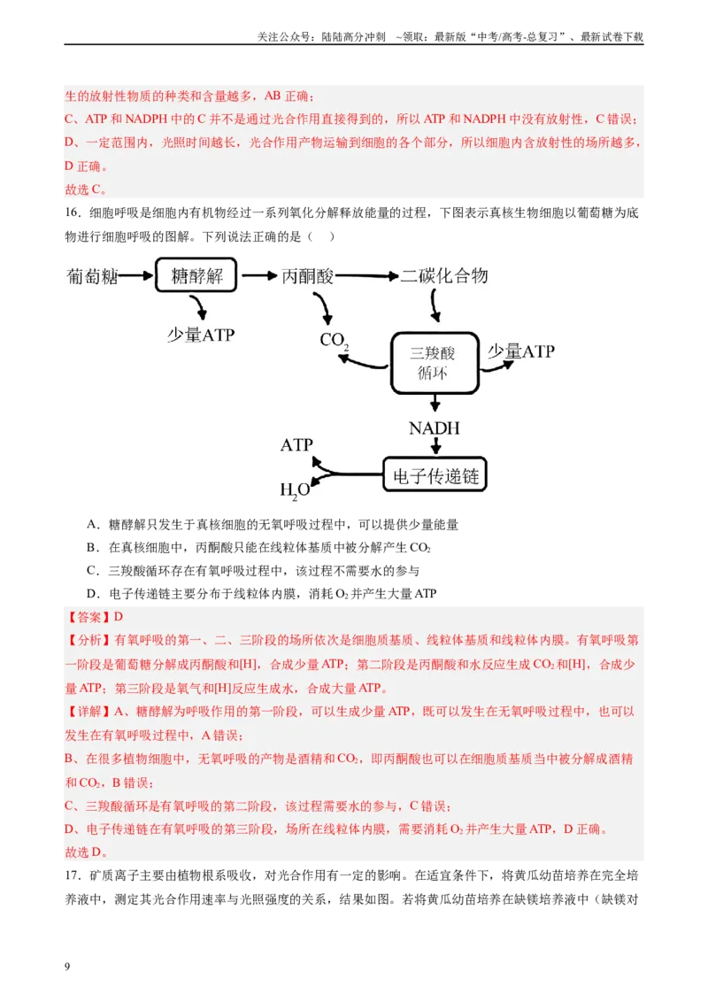 《必修1模板检测卷（教师版）_06-生物-高考总复习_一轮复习_2025年_2025年高考生物一轮复习考点复习卷（新高考通用）》第9页预览