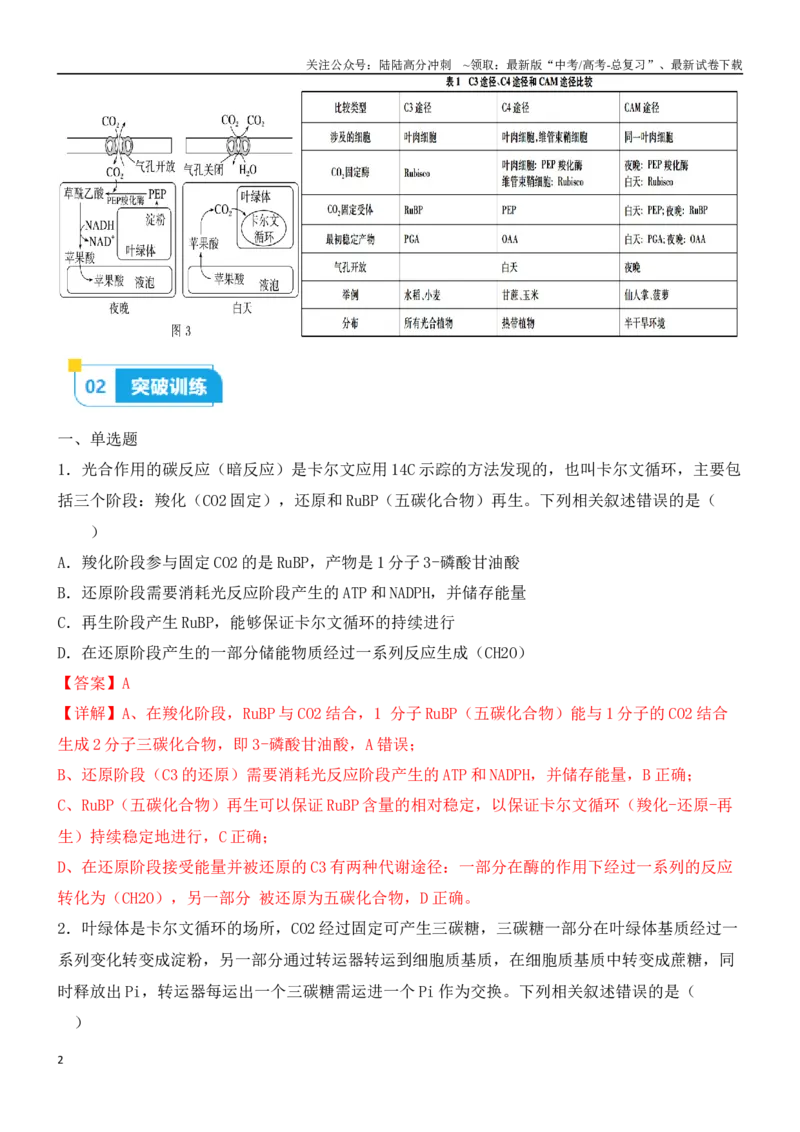 《尖子生突破03C3、C4、景天科植物在光合作用上的区别（解析版）_06-生物-高考总复习_专项复习_2024年_2024年高考生物重难点突破精讲_资料》第2页预览