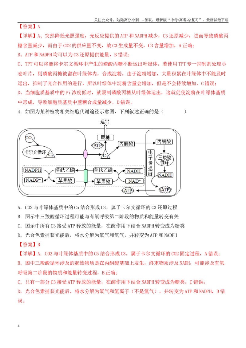 《尖子生突破03C3、C4、景天科植物在光合作用上的区别（解析版）_06-生物-高考总复习_专项复习_2024年_2024年高考生物重难点突破精讲_资料》第4页预览