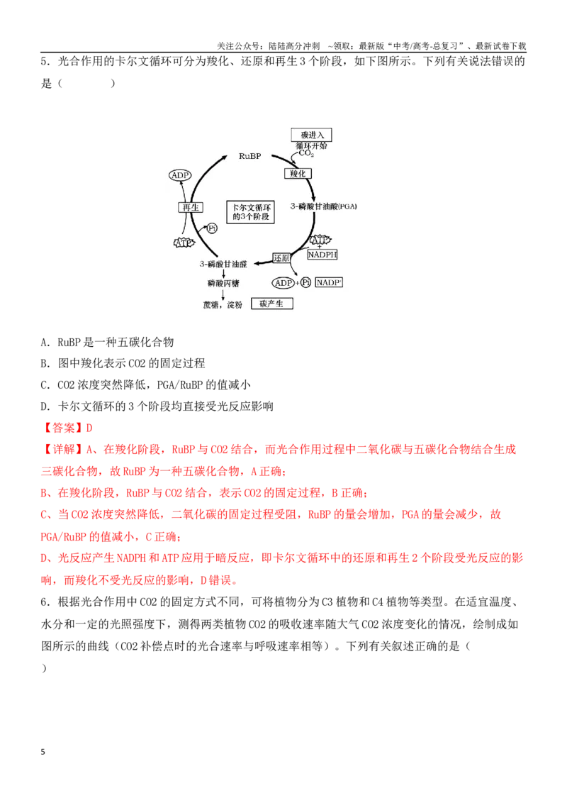 《尖子生突破03C3、C4、景天科植物在光合作用上的区别（解析版）_06-生物-高考总复习_专项复习_2024年_2024年高考生物重难点突破精讲_资料》第5页预览