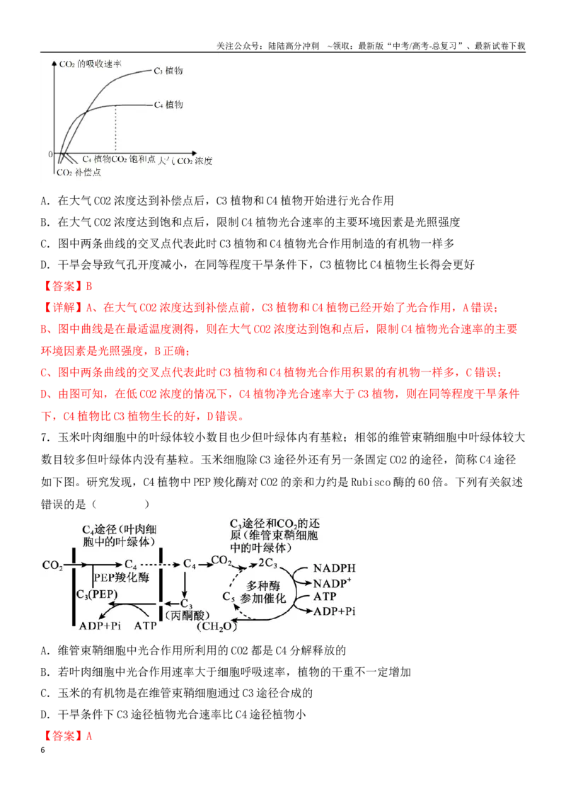 《尖子生突破03C3、C4、景天科植物在光合作用上的区别（解析版）_06-生物-高考总复习_专项复习_2024年_2024年高考生物重难点突破精讲_资料》第6页预览