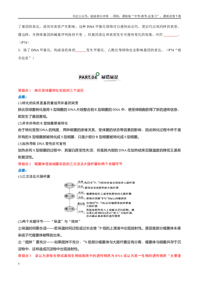 《宝典08遗传的分子基础（原卷版）_06-生物-高考总复习_一轮复习_2024年_2024年高考生物一轮复习知识清单必背总结全国通用_资料》第5页预览