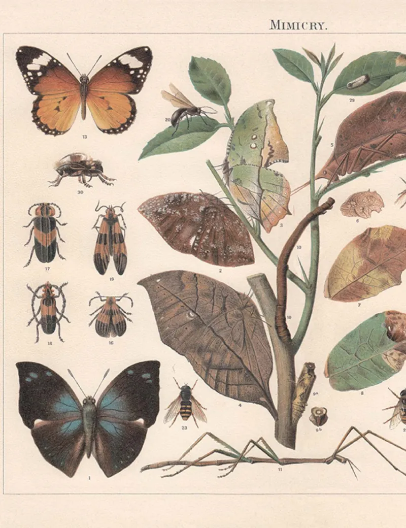 《wx_11220323470086-初一生物全国A加讲义1-正文-1651892685965-0c2d7c56d5c0_学而思初中1年级_2022暑初一_初一生物暑假全国版A+张雨桐完结》第8页预览