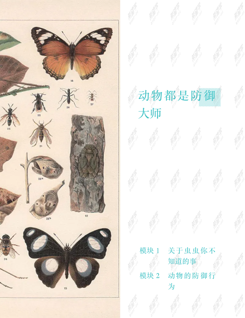 《wx_11220323470086-初一生物全国A加讲义1-正文-1651892685965-0c2d7c56d5c0_学而思初中1年级_2022暑初一_初一生物暑假全国版A+张雨桐完结》第9页预览