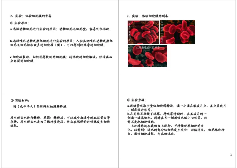 《细胞的结构与功能-细胞膜的结构与物质跨膜运输（一）-d430abd8c075_学而思高三全套_高三录播课程各种版本_高三一轮二轮_29709-56高考生物一轮总复习（必修+选修1、3）》第3页预览