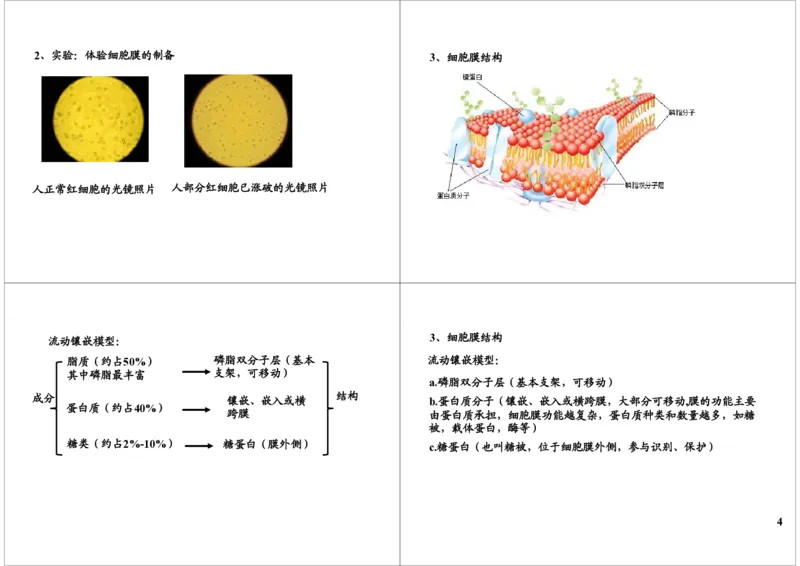 《细胞的结构与功能-细胞膜的结构与物质跨膜运输（一）-d430abd8c075_学而思高三全套_高三录播课程各种版本_高三一轮二轮_29709-56高考生物一轮总复习（必修+选修1、3）》第4页预览