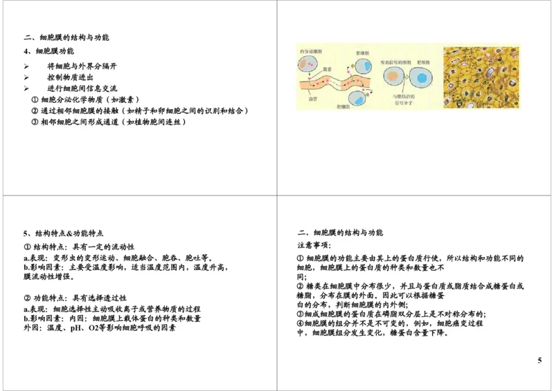 《细胞的结构与功能-细胞膜的结构与物质跨膜运输（一）-d430abd8c075_学而思高三全套_高三录播课程各种版本_高三一轮二轮_29709-56高考生物一轮总复习（必修+选修1、3）》第5页预览