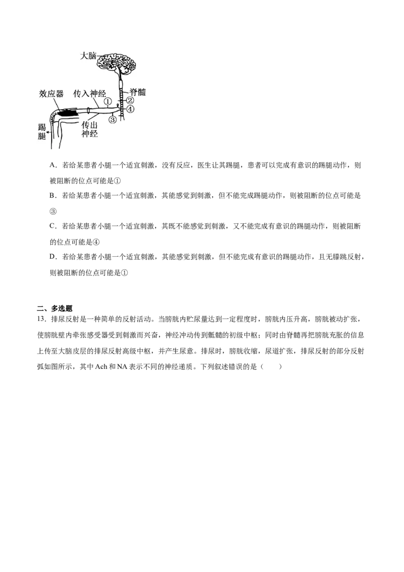《江西省赣州市十八县（市、区）二十四校2025-2026学年高二上学期第54次期中联考试题生物Word版含答案_2026年高二《月考+期中考+阶段性检测真题合集》全国各省全科无水印》第4页预览