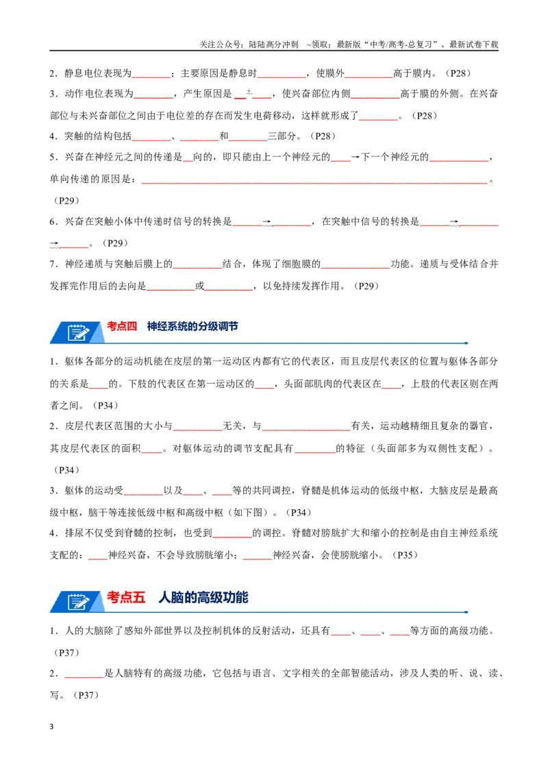 《宝典14神经调节（原卷版）_06-生物-高考总复习_一轮复习_2024年_2024年高考生物一轮复习知识清单必背总结全国通用_资料》第3页预览
