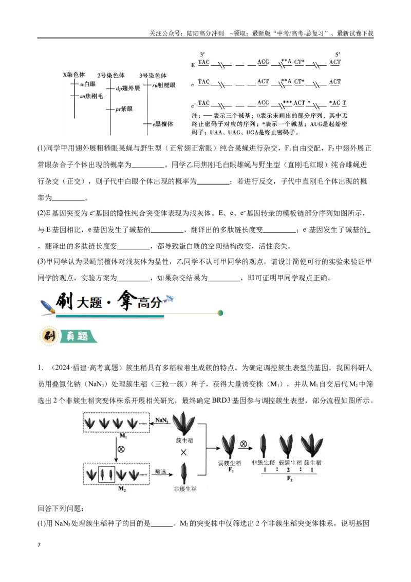 《大题04遗传与变异（黑吉辽蒙专用）（学生版）_06-生物-高考总复习_专项复习_2025年_2025年高考生物大题突破+限时集训（黑吉辽蒙专用）》第7页预览