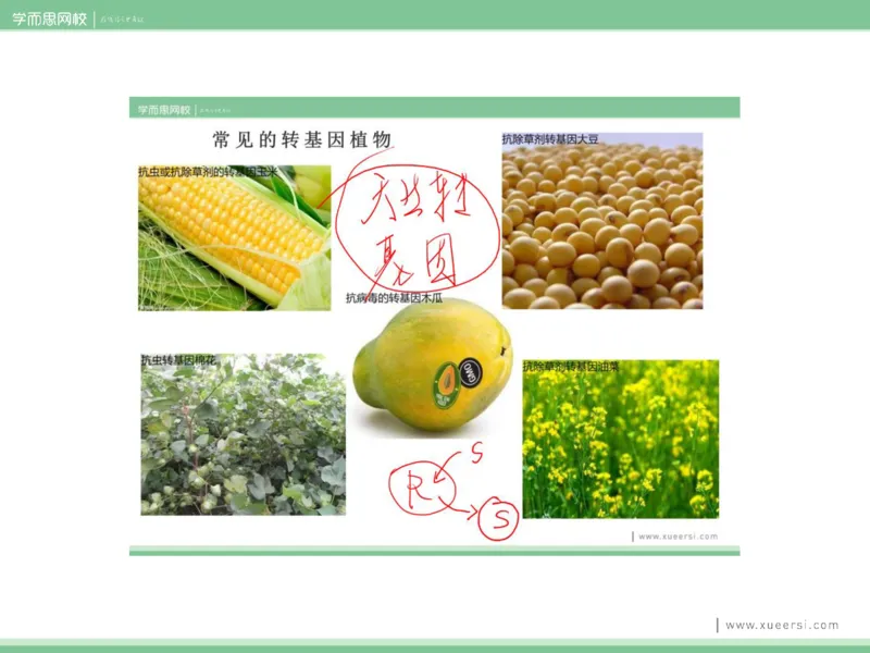《课件42019寒高二基因工程1-1c7ace7c05b4_学而思高二全套_2020年寒假高二(1)_2020寒假目标清北班高二生物直播班（全国）7讲周云完结_资料》第10页预览