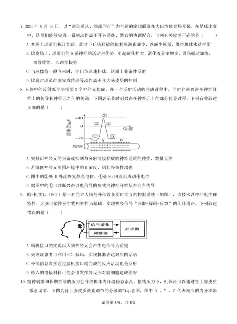 《重庆市渝东九校联盟2025-2026学年高二上学期期中联合性诊断测试生物试卷(图片版含答案)_2026年高二《月考+期中考+阶段性检测真题合集》全国各省全科无水印》第3页预览