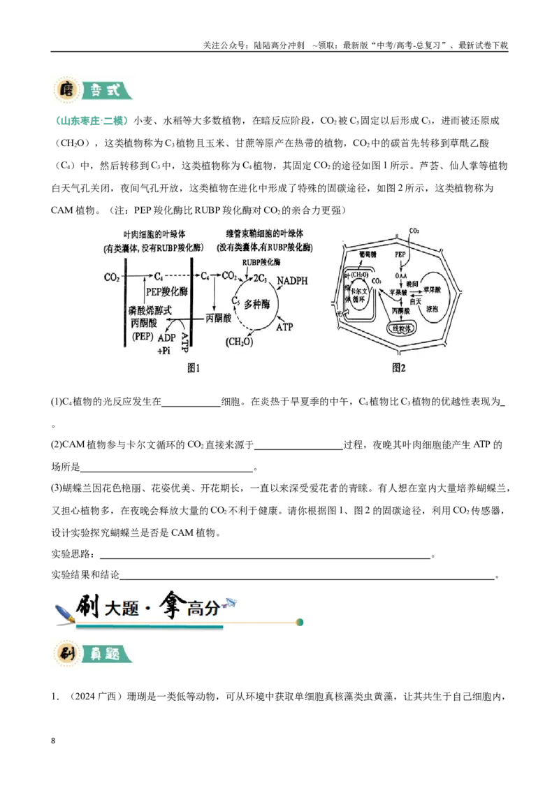 《大题01光合作用（黑吉辽蒙专用）（学生版）_06-生物-高考总复习_专项复习_2025年_2025年高考生物大题突破+限时集训（黑吉辽蒙专用）》第8页预览