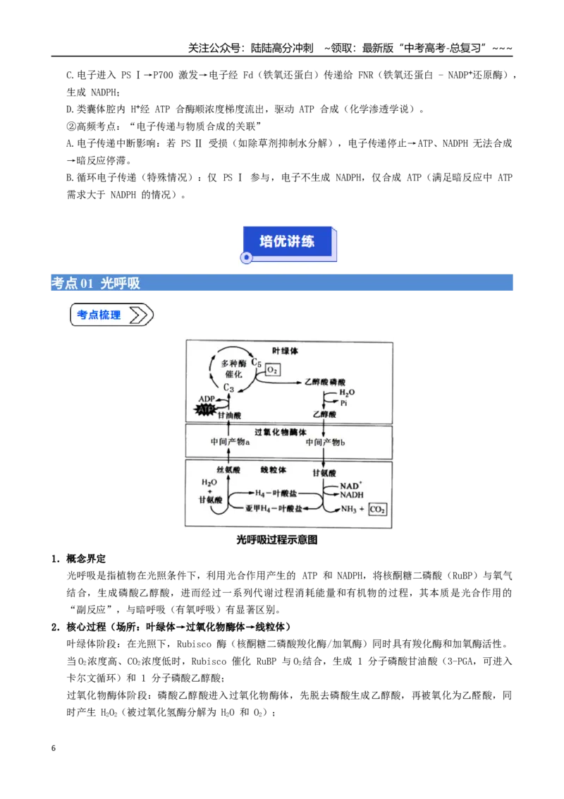 《培优专题02光呼吸、光系统及电子传递链、光系统与光抑制（高效培优讲义）（全国通用）（学生版）_06-生物-高考总复习_一轮复习_2026年-生物高考一轮复习_2026版_一轮培优提升》第6页预览