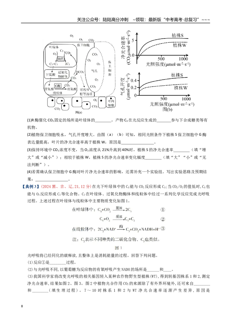 《培优专题02光呼吸、光系统及电子传递链、光系统与光抑制（高效培优讲义）（全国通用）（学生版）_06-生物-高考总复习_一轮复习_2026年-生物高考一轮复习_2026版_一轮培优提升》第8页预览