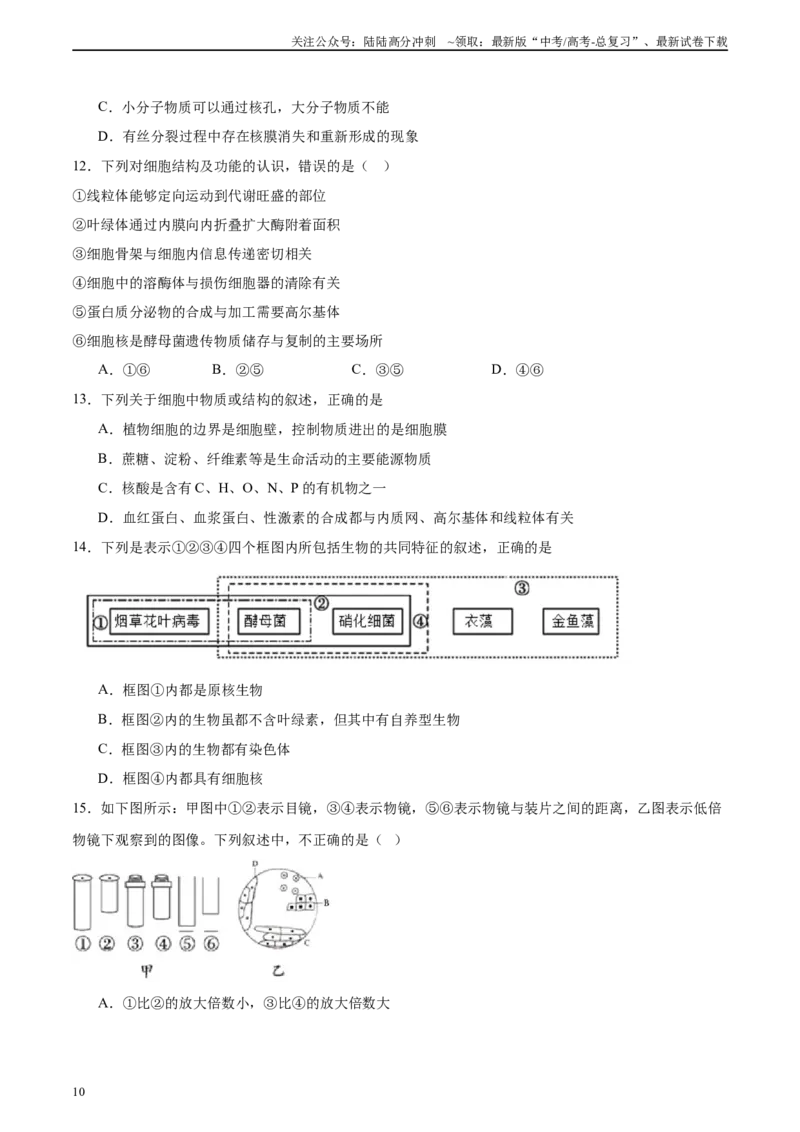 《必修1分子与细胞消灭易错必刷100题（原卷版）_06-生物-高考总复习_专项复习_2024年_2024年高考生物消灭易错和热点专题必刷练_资料》第10页预览