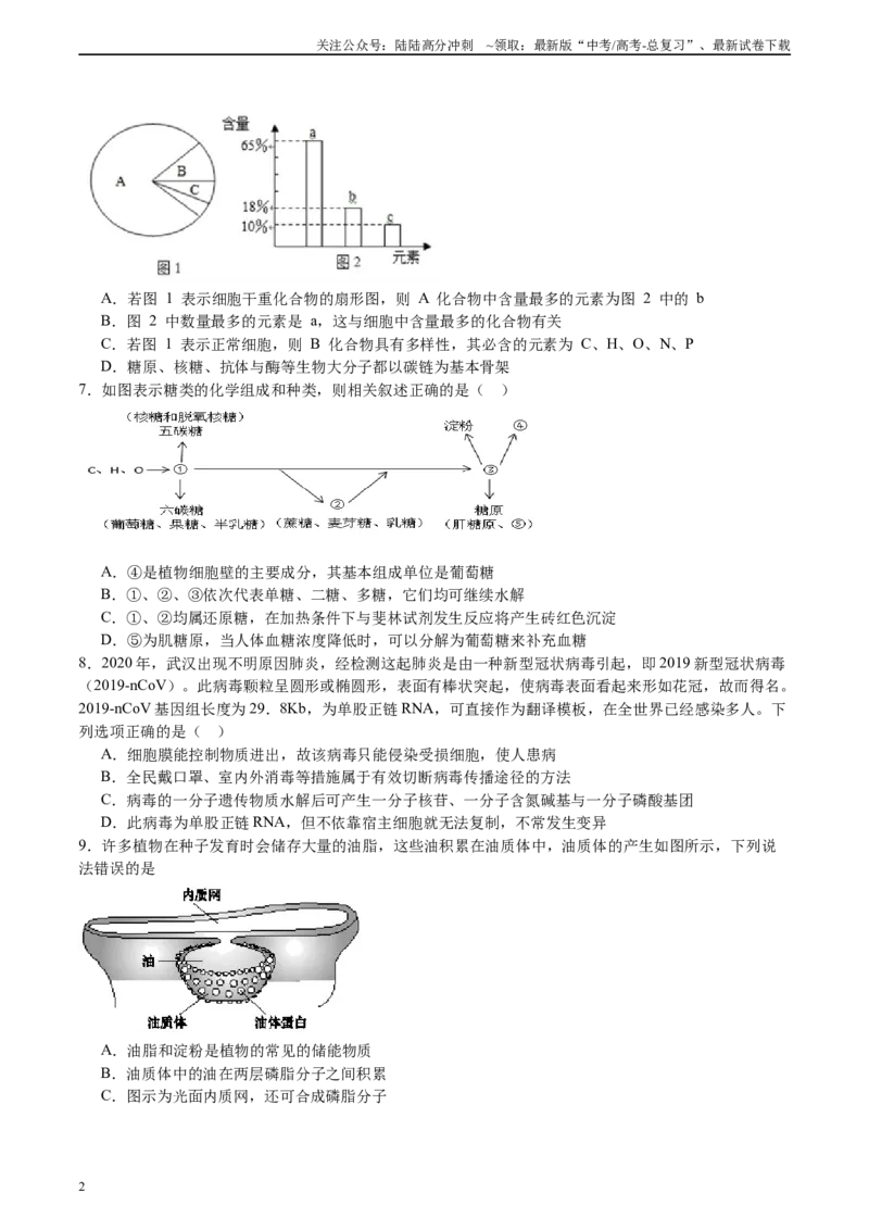 《必修1分子与细胞消灭易错必刷100题（原卷版）_06-生物-高考总复习_专项复习_2024年_2024年高考生物消灭易错和热点专题必刷练_资料》第2页预览