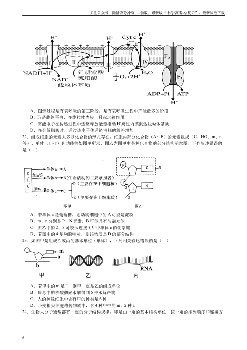 《必修1分子与细胞消灭易错必刷100题（原卷版）_06-生物-高考总复习_专项复习_2024年_2024年高考生物消灭易错和热点专题必刷练_资料》第6页预览