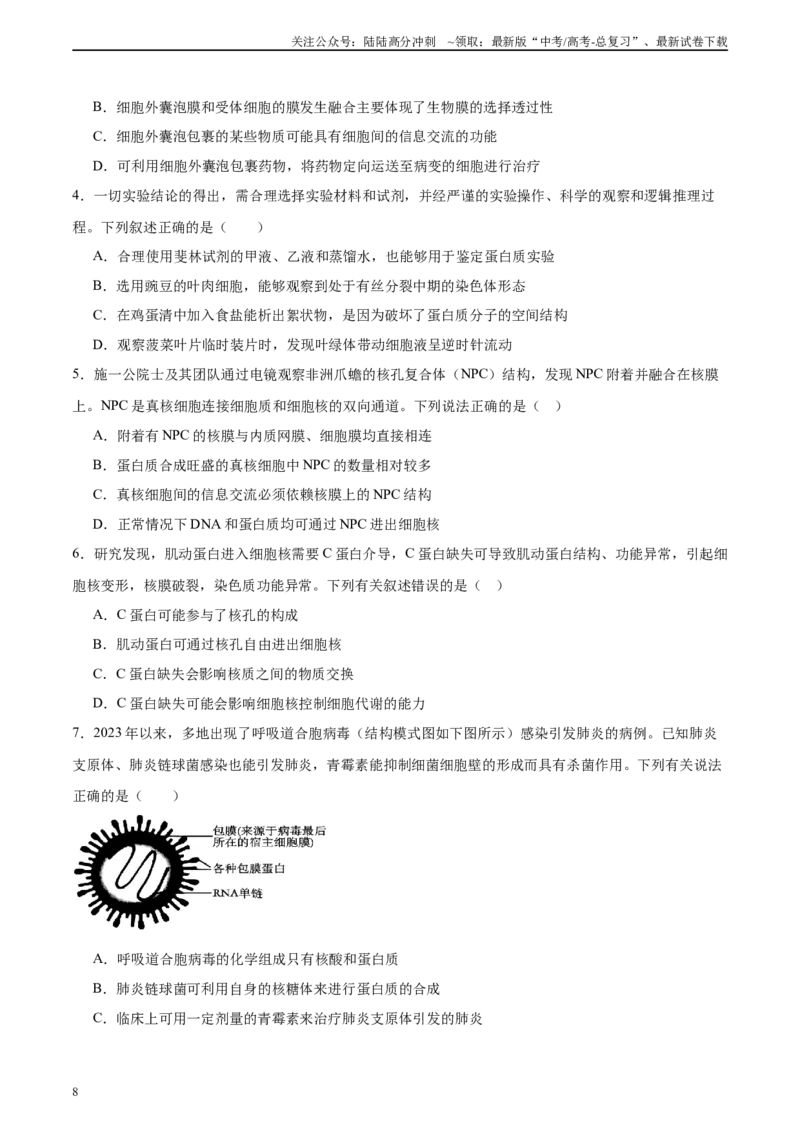《必修1分子与细胞消灭易错必刷100题（原卷版）_06-生物-高考总复习_专项复习_2024年_2024年高考生物消灭易错和热点专题必刷练_资料》第8页预览