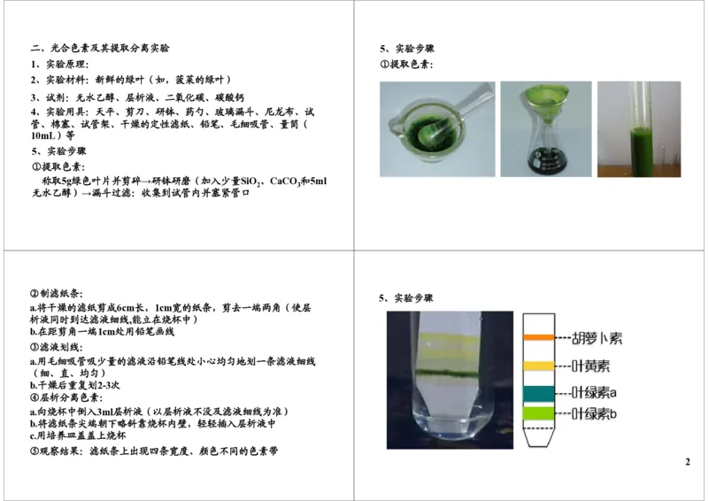 《细胞代谢-光合作用-342e01ef7406_学而思高三全套_高三录播课程各种版本_高三一轮二轮_29709-56高考生物一轮总复习（必修+选修1、3）_第10讲：细胞代谢-光合作用（一轮上）》第2页预览