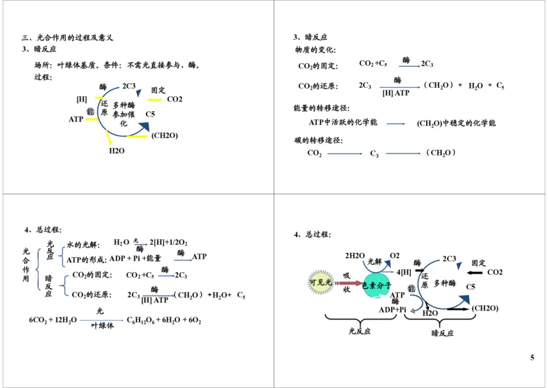 《细胞代谢-光合作用-342e01ef7406_学而思高三全套_高三录播课程各种版本_高三一轮二轮_29709-56高考生物一轮总复习（必修+选修1、3）_第10讲：细胞代谢-光合作用（一轮上）》第5页预览