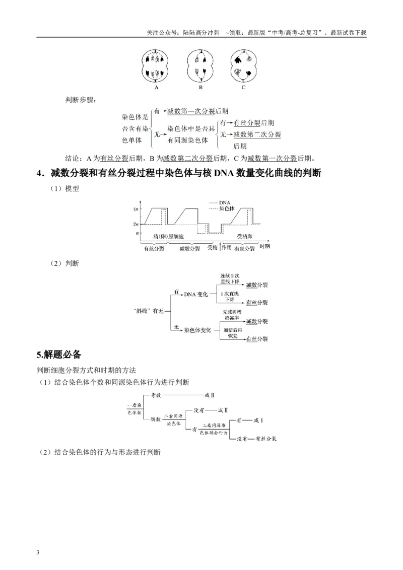 《微专题3有丝分裂和减数分裂解析版_06-生物-高考总复习_专项复习_2025年_2025年高考生物考前冲刺微专题限时练（全国通用）_资料》第3页预览