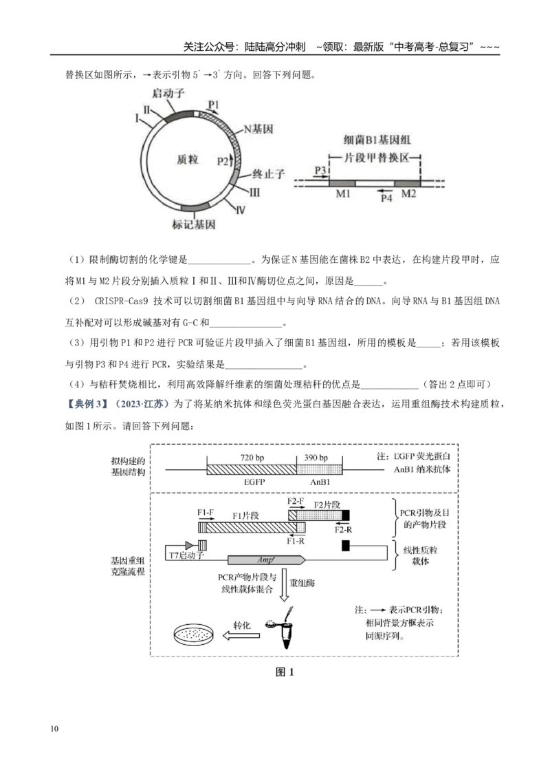 《培优专题13生物育种（高效培优讲义）（学生版）_06-生物-高考总复习_一轮复习_2026年-生物高考一轮复习_2026年高考生物一轮复习讲义+练习+课件（新教材新高考）-G55_2026版_一轮培优提升》第10页预览