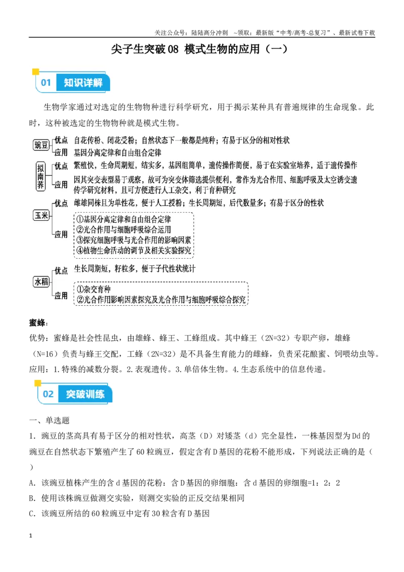 《尖子生突破08模式生物的应用（一）(原卷版）_06-生物-高考总复习_专项复习_2024年_2024年高考生物重难点突破精讲_资料》第1页预览