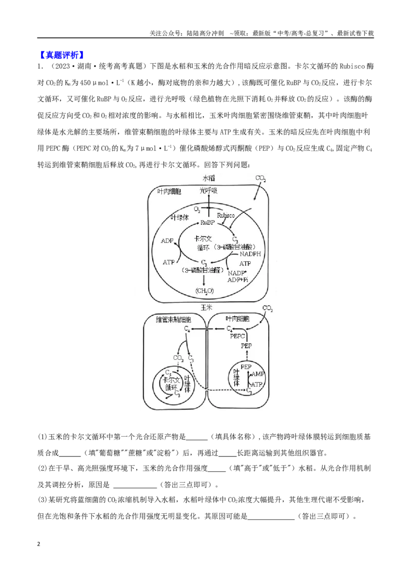 《微专题02植物生理及农作物增产（解析版）_06-生物-高考总复习_二轮复习_2024年_2024高三生物高考二轮复习热点命题专题真题模拟题_资料》第2页预览