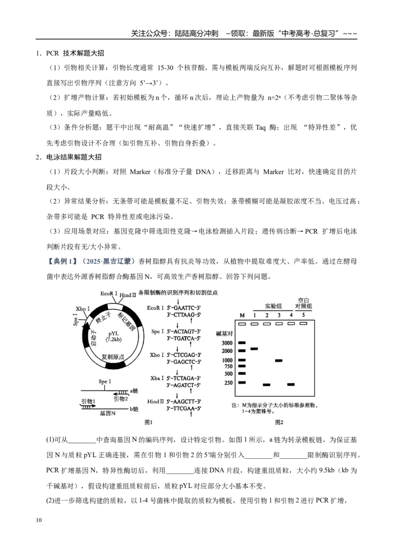 《培优专题19PCR技术和电泳（高效培优讲义）（教师版）_06-生物-高考总复习_一轮复习_2026年-生物高考一轮复习_2026年高考生物一轮复习讲义+练习+课件（新教材新高考）-G55_2026版》第10页预览