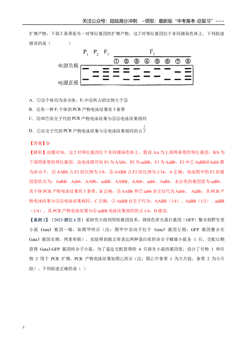 《培优专题19PCR技术和电泳（高效培优讲义）（教师版）_06-生物-高考总复习_一轮复习_2026年-生物高考一轮复习_2026年高考生物一轮复习讲义+练习+课件（新教材新高考）-G55_2026版》第5页预览
